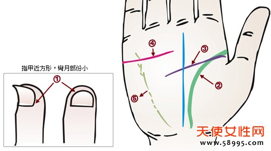 βиβߣѪɫϵаϰߡ(졢ء)ʻɫɫ״̬״ֶвѡߵ㣬Ǹβ